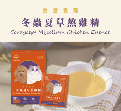 Royal Pet Cordyceps Mycelium Chicken Essence for Pets
