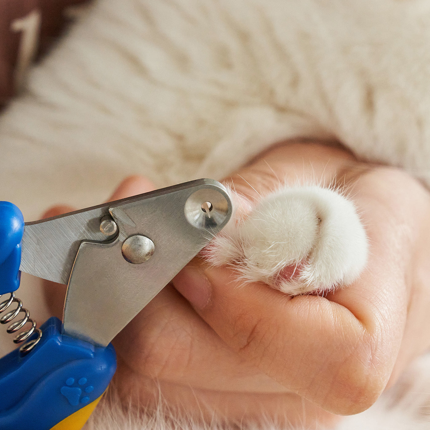 Pethroom | Smart Nail Clipper For Pets - Woof² HK