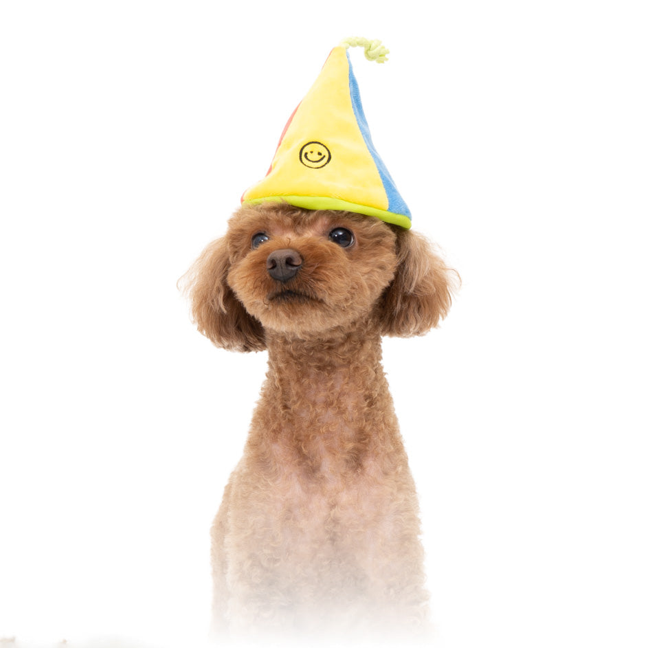 Bacon Box | Party Hat Friends Soft Plush Dog Toy - Woof² HK
