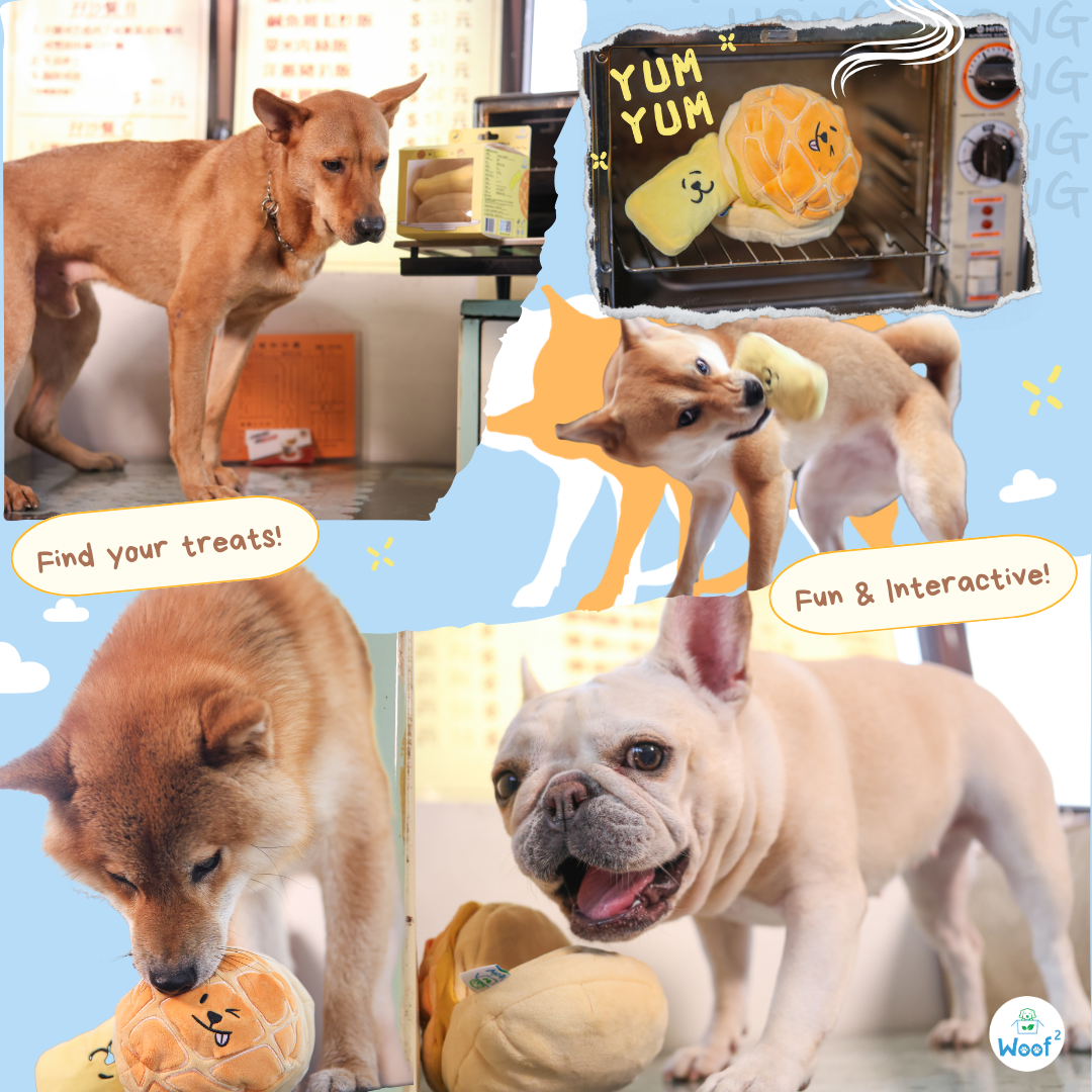 Woof² | Buttered Pineapple Bun 2-in-1 Nose-work Soft Plush Pet Toy