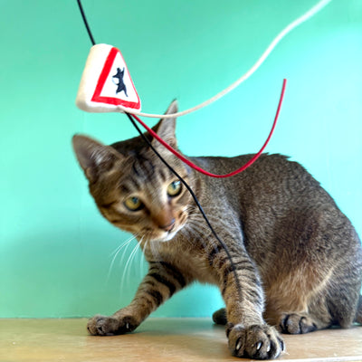 <tc>Meow² |「貓岀沒」注意警告牌逗貓棒</tc>