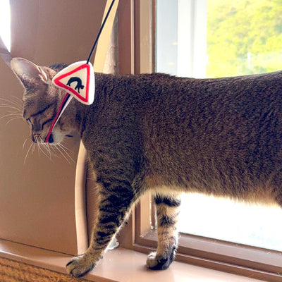 <tc>Meow² |「貓岀沒」注意警告牌逗貓棒</tc>