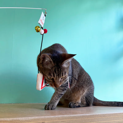 <tc>Meow² |「貓岀沒」注意警告牌逗貓棒</tc>