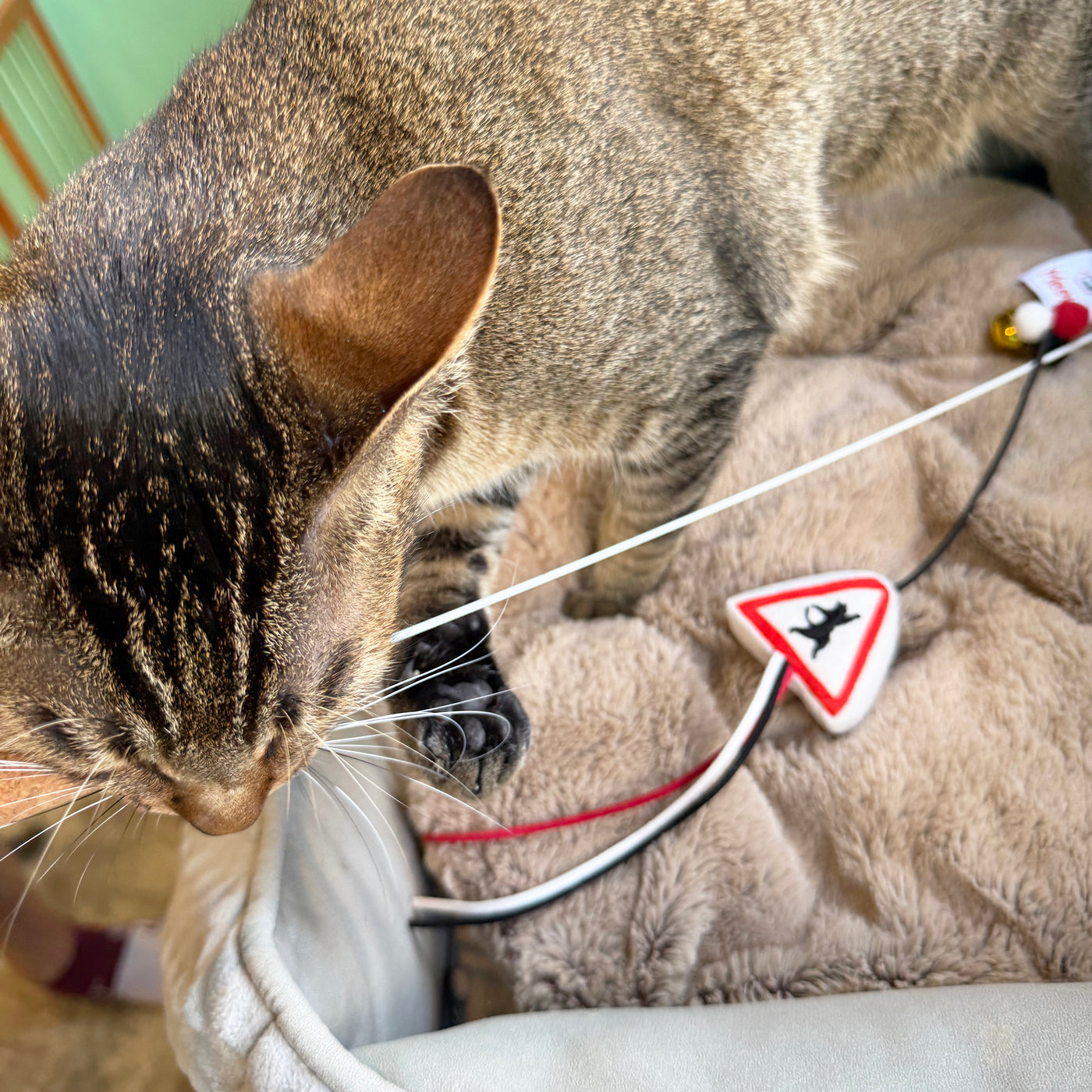 <tc>Meow² |「貓岀沒」注意警告牌逗貓棒</tc>