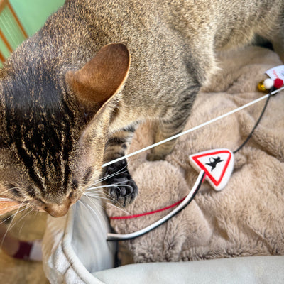 <tc>Meow² |「貓岀沒」注意警告牌逗貓棒</tc>