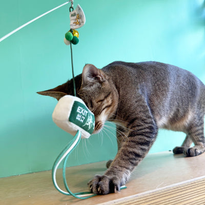 <tc>Meow² | 逃生出口逗貓棒</tc>