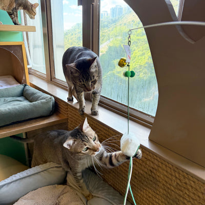 <tc>Meow² | 逃生出口逗貓棒</tc>