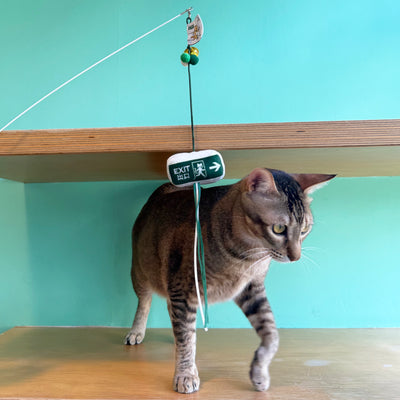 <tc>Meow² | 逃生出口逗貓棒</tc>