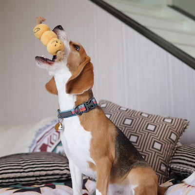 Woof² | HK Street Food 15% OFF Bundle [Egg Puff/Waffle + Curry Fishball Soft Plush Pet Toys]