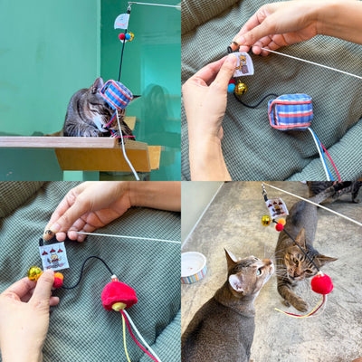 <tc>Meow² |香港標誌95折逗貓棒組合 [紅白藍膠袋＋紅色街市燈]</tc>