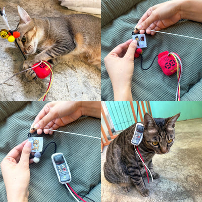 <tc>Meow² |香港懷舊95折逗貓棒組合 [香港懷舊信箱＋懷舊大哥大電話]</tc>