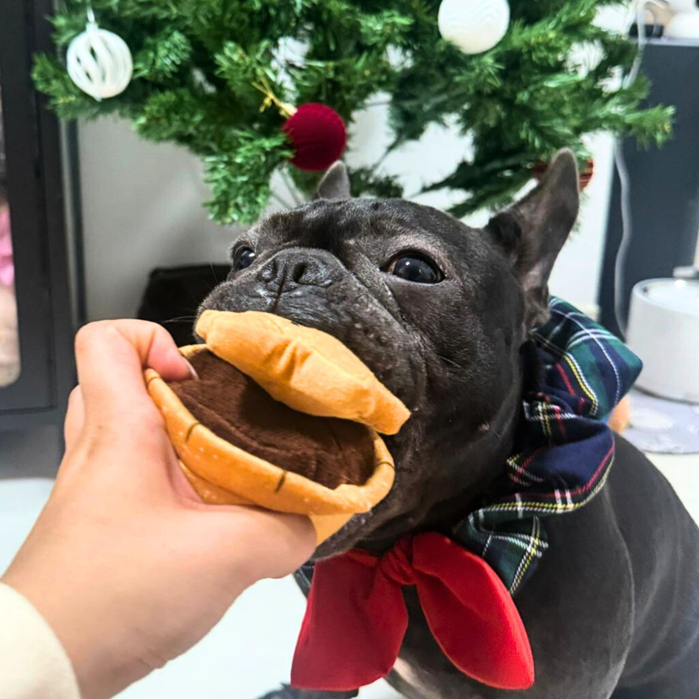 Woof² | Mince Pie Nosework Soft Plush Pet Toy