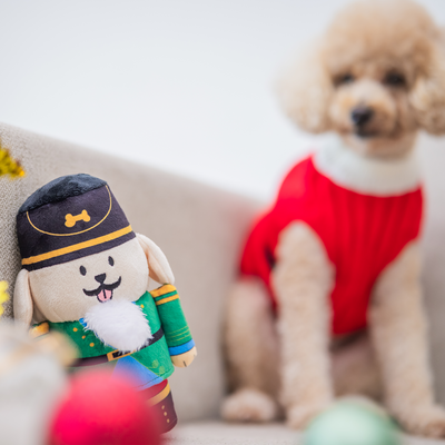 Woof² Nutcracker Dog Gift Box