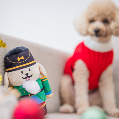 Woof² | Nutcracker Treat-Dispensing Soft Plush Pet Toy
