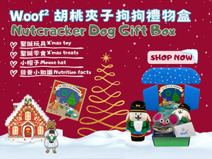 Buy Dog Learning Toys in Hong Kong