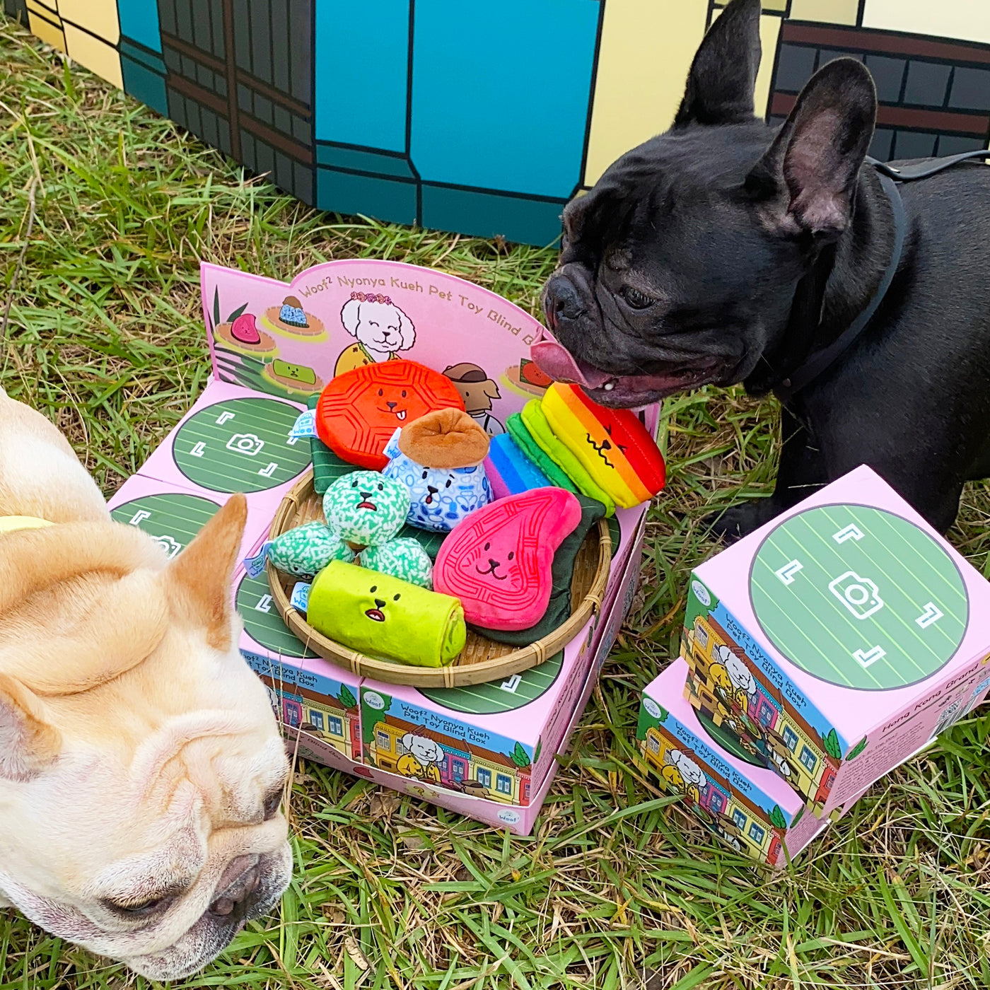 <tc>Woof² | 娘惹粿系列寵物玩具盲盒</tc>