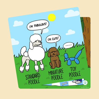 Woof² Poodle Picnic Party Card - Woof² HK