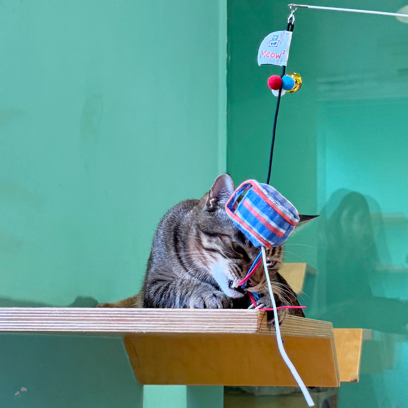 <tc>Meow² | 紅白藍膠袋逗貓棒替換件</tc>