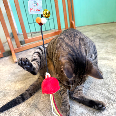 <tc>Meow² | 紅色街市燈逗貓棒</tc>