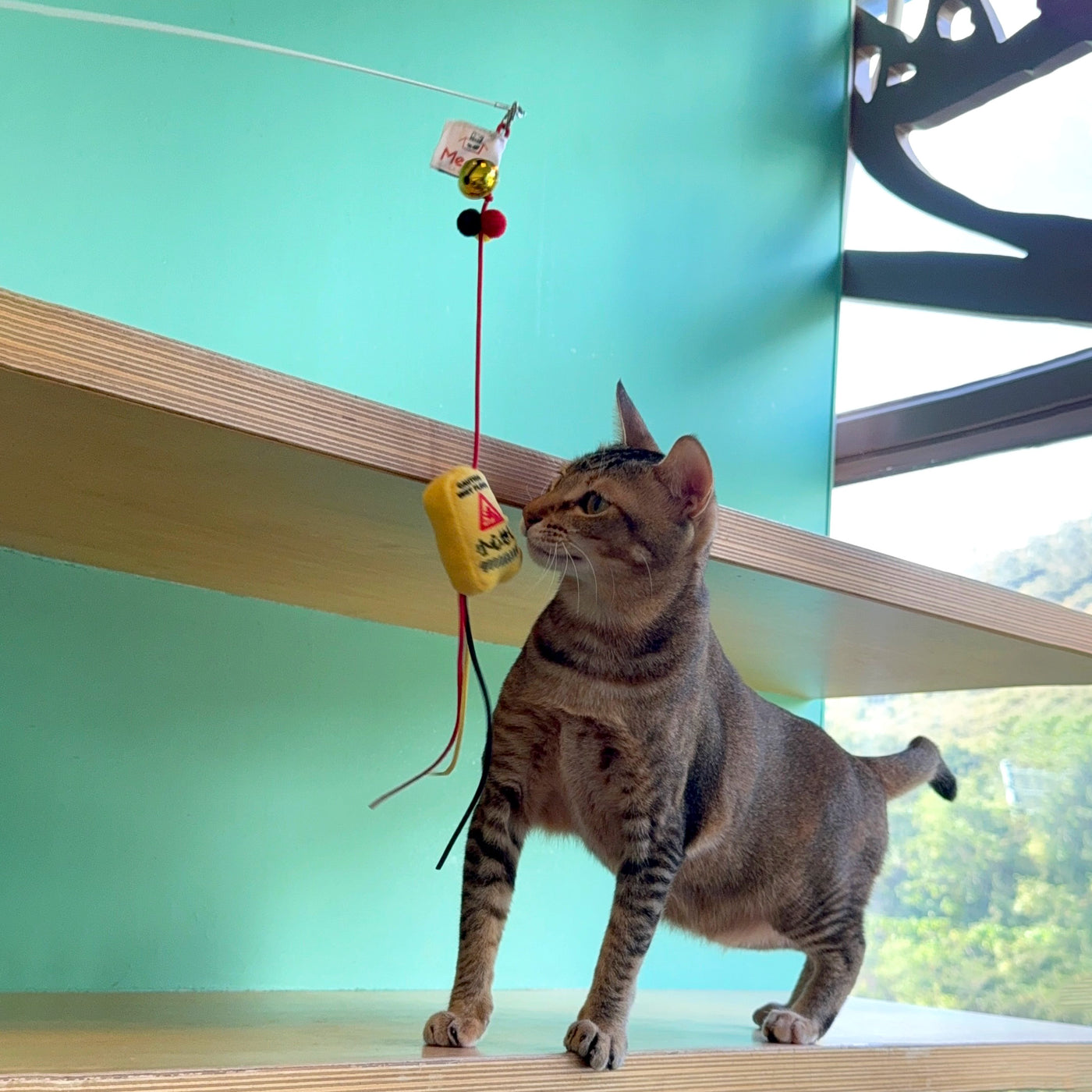 <tc>Meow² | 小心地滑警告牌逗貓棒</tc>