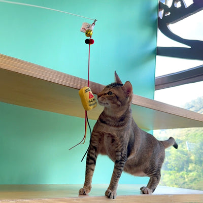 <tc>Meow² | 小心地滑警告牌逗貓棒</tc>