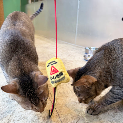 <tc>Meow² | 小心地滑警告牌逗貓棒</tc>