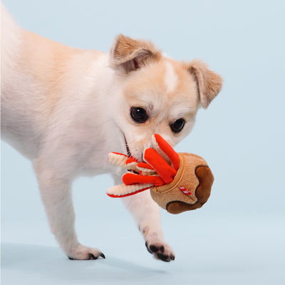 Bacon Box | Takoyaki Catch Soft Plush Dog Toy - Woof² HK