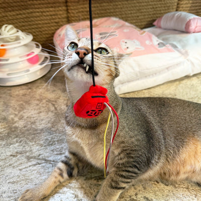 Meow² |  Hong Kong Vintage Letter Box Soft Plush Cat Wand Replacement