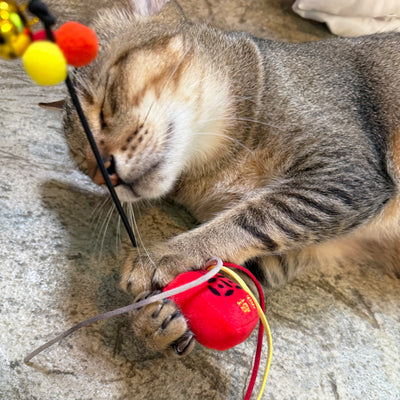 Meow² |  Hong Kong Vintage Letter Box Soft Plush Cat Wand
