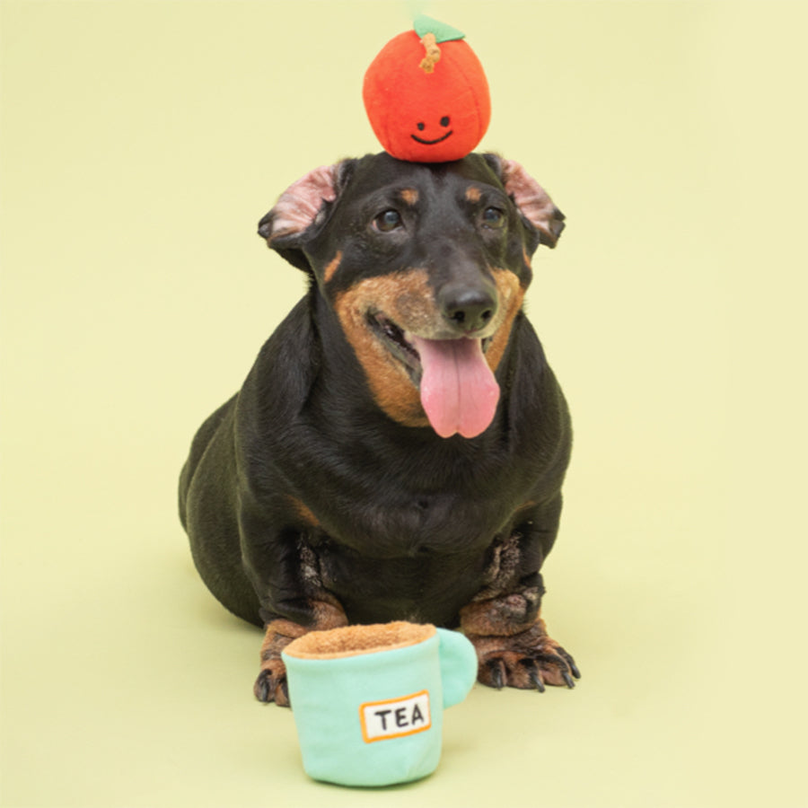 Bacon Box | Apple Tea Soft Plush Dog Catch Toy - Woof² HK