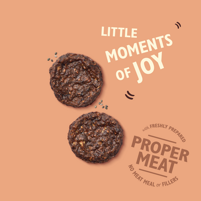 Lily's Kitchen The Best Ever Beef Mini Burgers Dog Treats - Woof² HK
