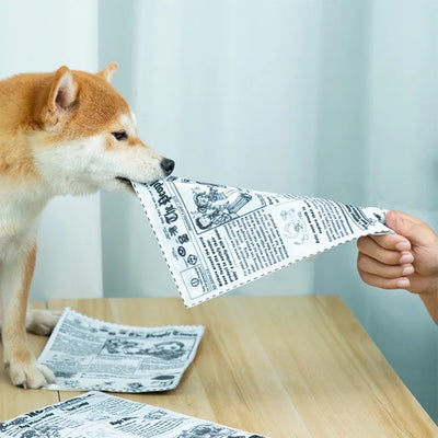 Newspaper Dog Chew Toy - Woof² HK