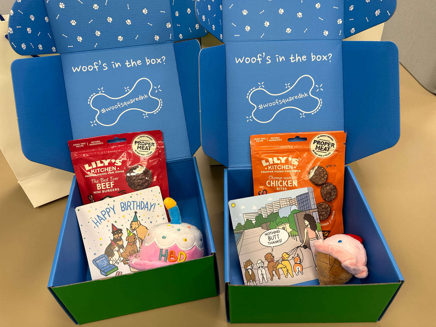 Dog Party Mystery Gift Box - Basic A - Woof² HK