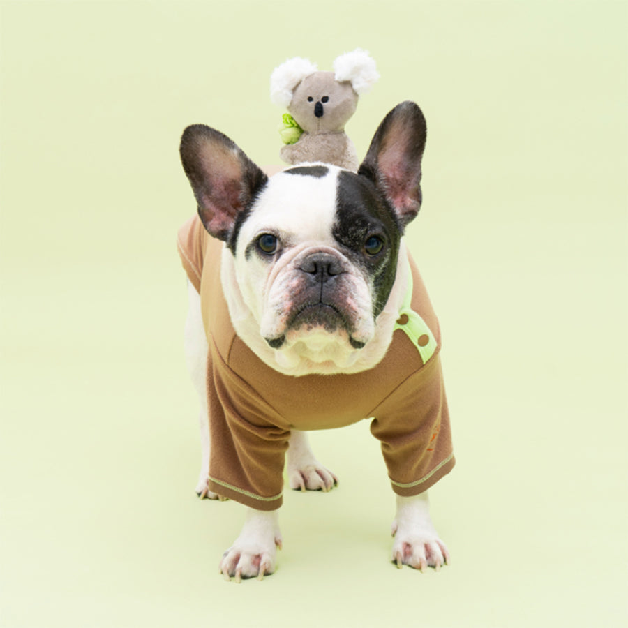 Bacon Box | Koala Friends Soft Plush Dog Pull Toy - Woof² HK