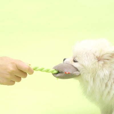 Bacon Box | Koala Friends Soft Plush Dog Pull Toy - Woof² HK