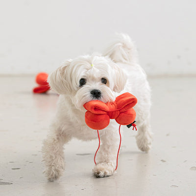 Biteme Ribbon Soft Plush Dog Toy - Woof² HK
