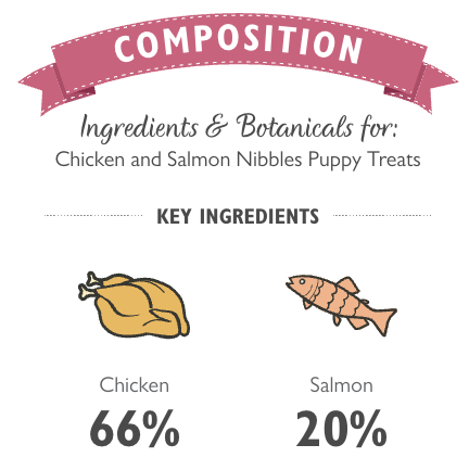 Lily's Kitchen Chicken and Salmon Nibbles Puppy Dog Treats - Woof² HK